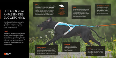 Hundegeschirr - Freemotion Harness 5.0 - BARFTIER