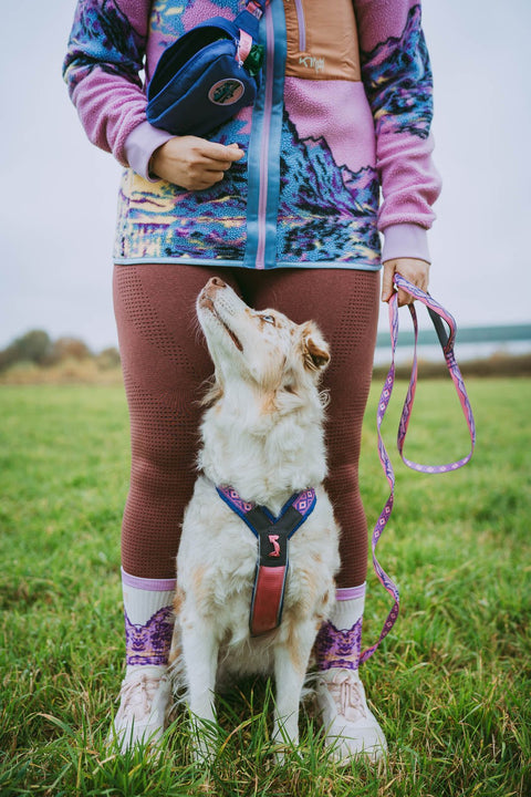 Hundeleine - Trail Quest Leine (Rachel Pohl Edition) - BARFTIER