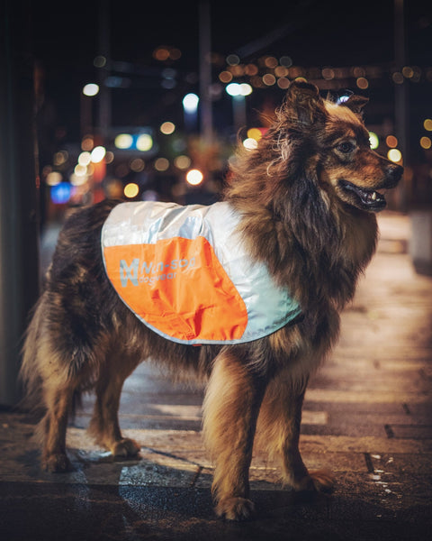 Reflective Vest (reflektierende Hundeweste) Non-Stop Dogwear