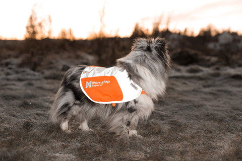 Reflective Vest (reflektierende Hundeweste) Non-Stop Dogwear