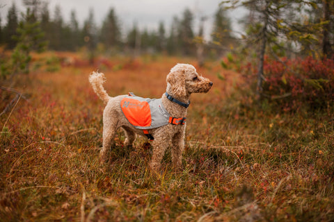 Reflective Vest (reflektierende Hundeweste) Non-Stop Dogwear