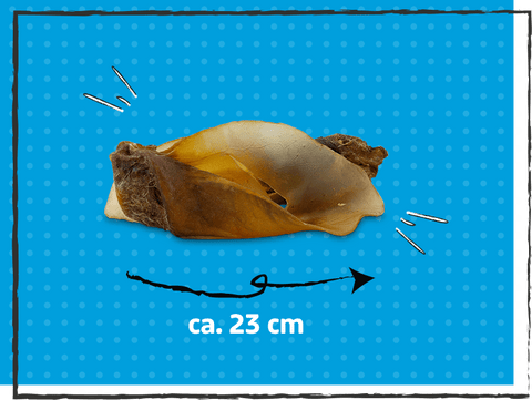 SnackOMIO - Knusprige Rinderohren mit Muschel - BARFTIER