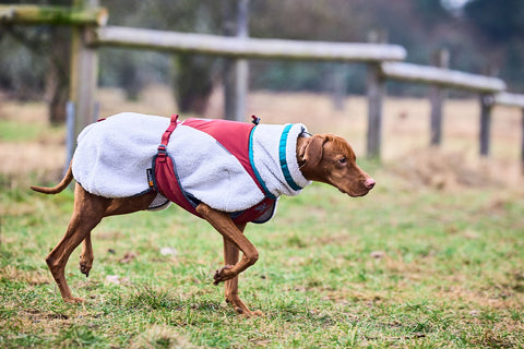 Trekking Fleece Jacket (Hundemantel) - BARFTIER