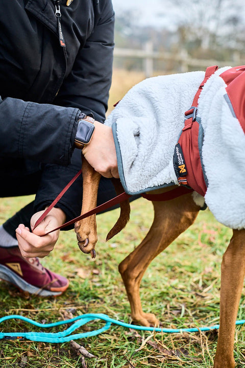 Trekking Fleece Jacket (Hundemantel) - BARFTIER