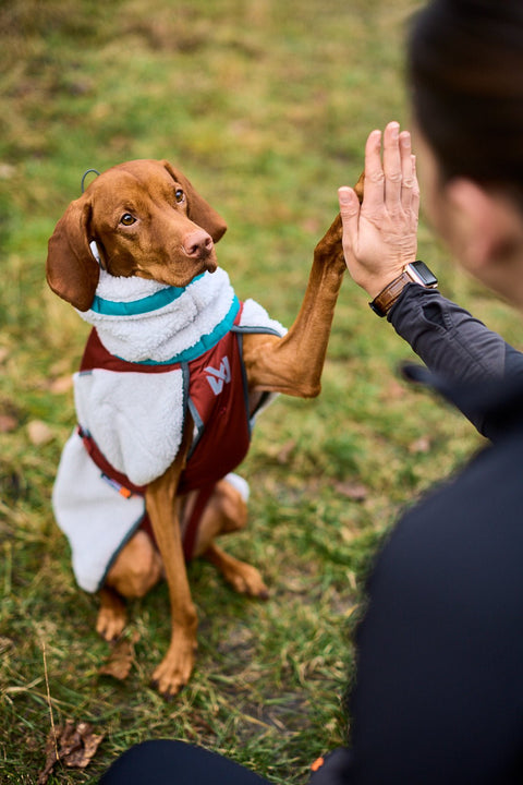 Trekking Fleece Jacket (Hundemantel) - BARFTIER